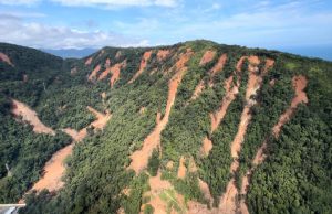 governo-de-sp-acompanha-acoes-de-recuperacao-ambiental-na-vila-sahy-em-sao-sebastiao