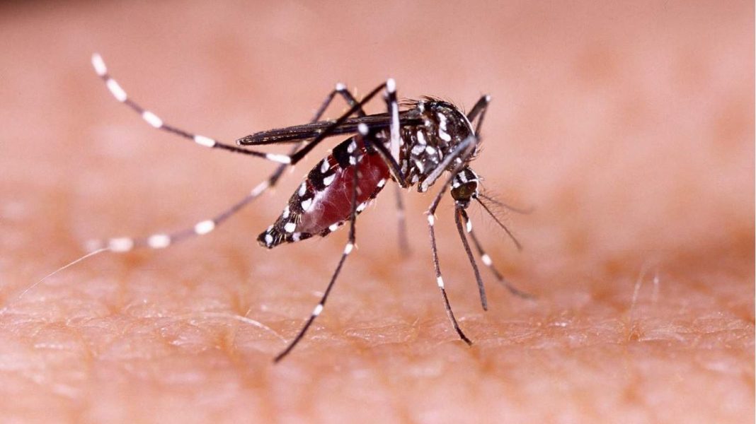São José dos Campos lamenta primeira morte por dengue em 2024