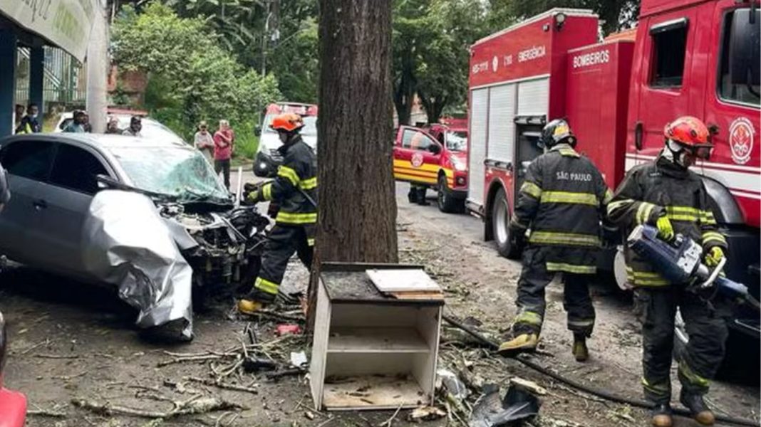 Homem de 29 anos morre em acidente na SP-50 após colidir carro em árvore