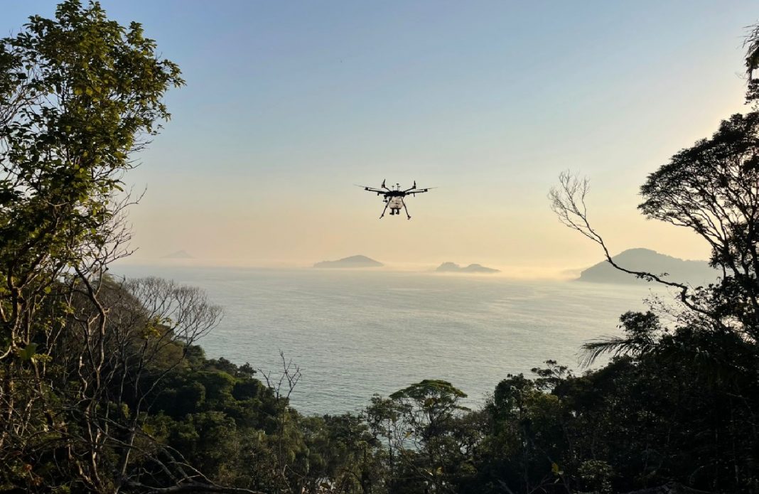 governo-de-sp-acompanha-acoes-de-recuperacao-ambiental-na-vila-sahy-em-sao-sebastiao