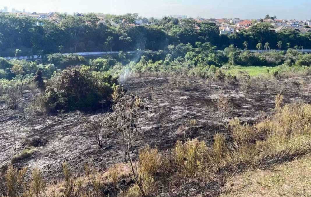 incendio-em-area-de-mata-no-urbanova-destroi-o-equivalente-a-50-campos-de-futebol-e-e-alvo-de-investigacao