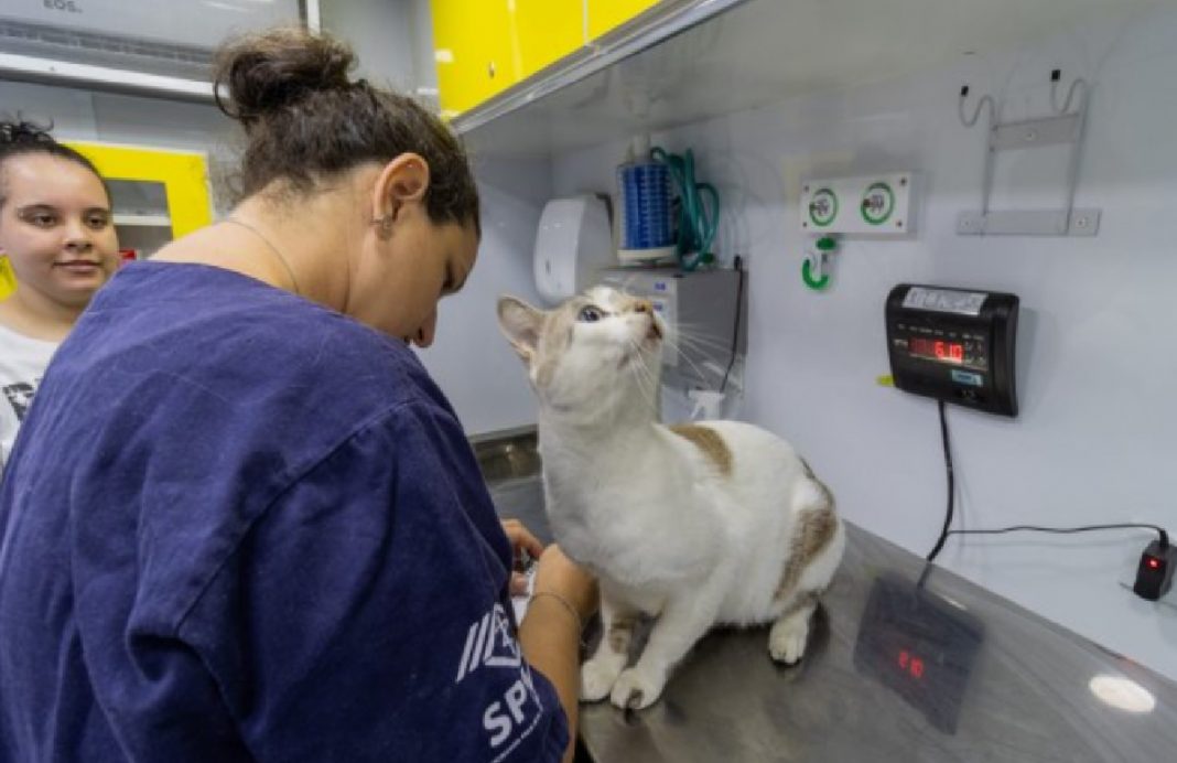 atendimento-veterinario-e-vacinacao-antirrabica-confira-os-servicos-gratuitos-em-sao-sebastiao-e-cacapava