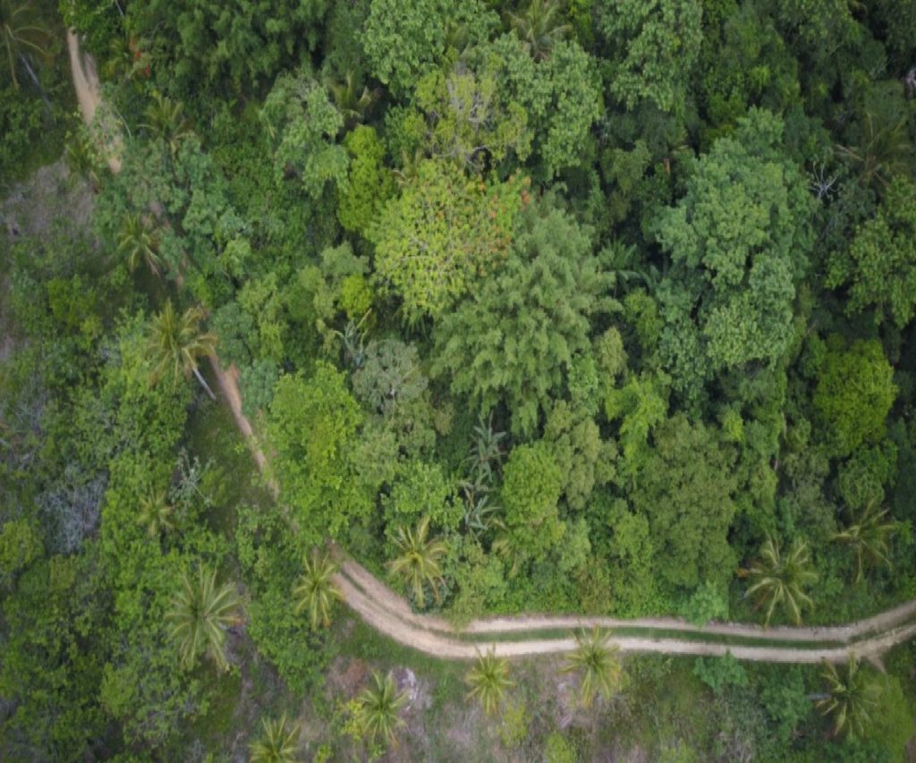 ubatuba-recebe-cameras-e-drone-para-monitoramento-da-fauna-em-aldeia-indigena