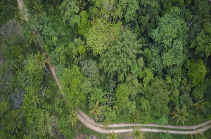 ubatuba-recebe-cameras-e-drone-para-monitoramento-da-fauna-em-aldeia-indigena